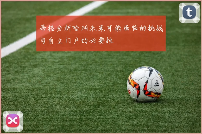 蒂格分析哈珀未来可能面临的挑战与自立门户的必要性