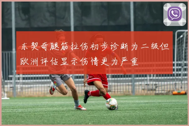 东契奇腿筋拉伤初步诊断为二级但欧洲评估显示伤情更为严重